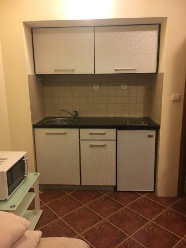 Aparthotel Apartments Villa Viktoria