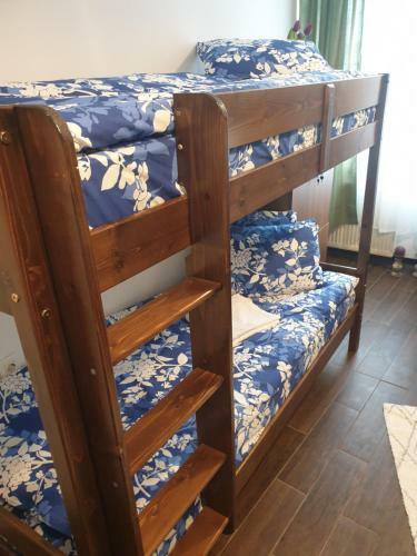 Vintage Downtown Hostel