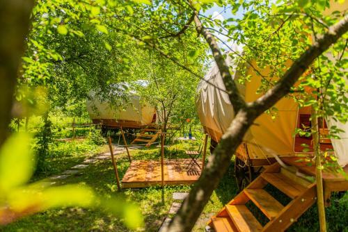 Dragonfly Gardens Urban Glamping Brasov