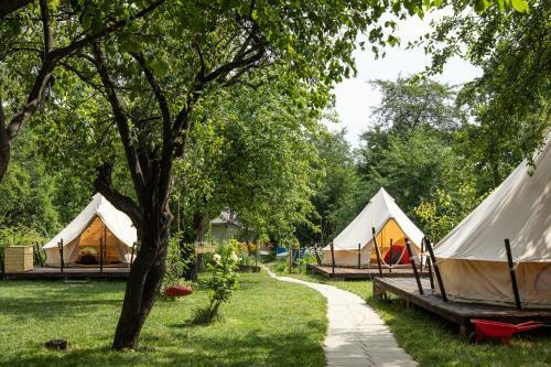 Dragonfly Gardens Urban Glamping Brasov
