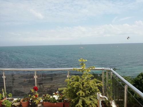 Hostal Guest House Neli