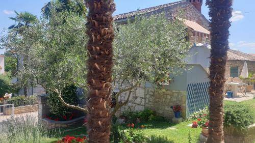 Apartamento Appartment Daniela Funtana