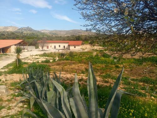 Hostal Fodor