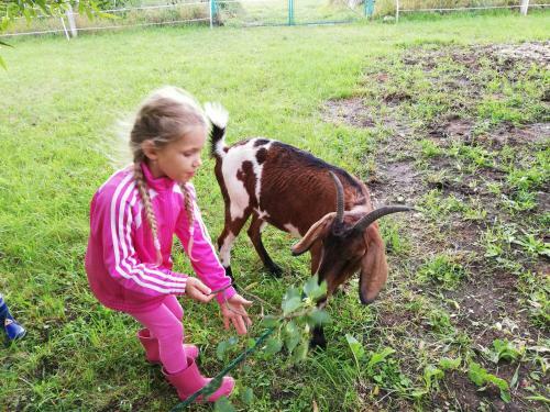 Villa Ubytov�n� Se Zv�?�tky
