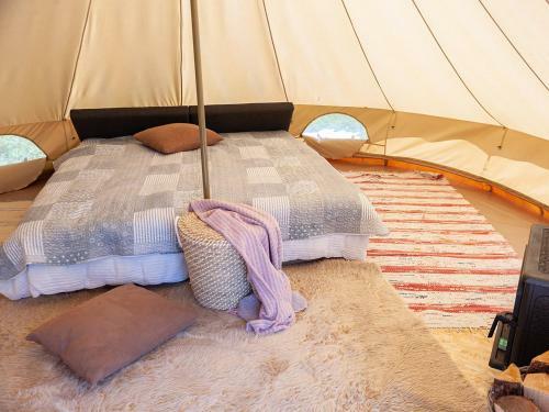 Space Glamp