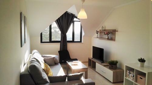 Apartamentos San Miguel