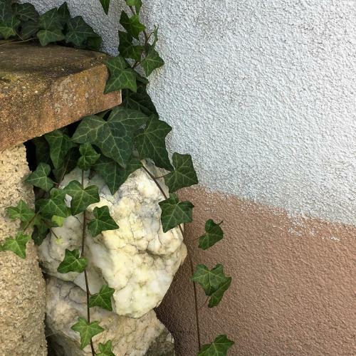Apartamento Haus Ladner