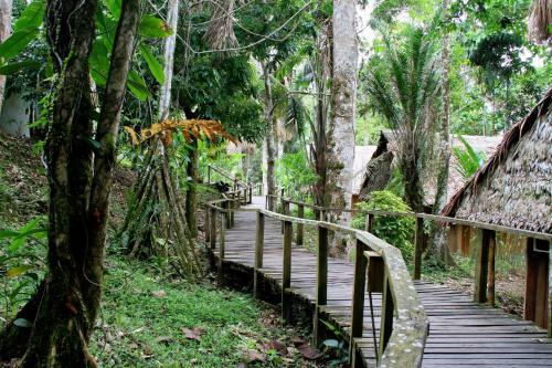 Lodge Ceiba Tops