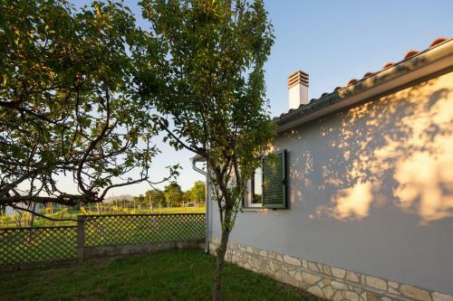 Villa Amaryllis