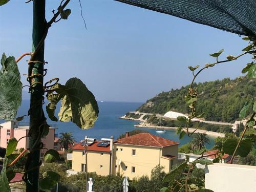 Apartmani Stula