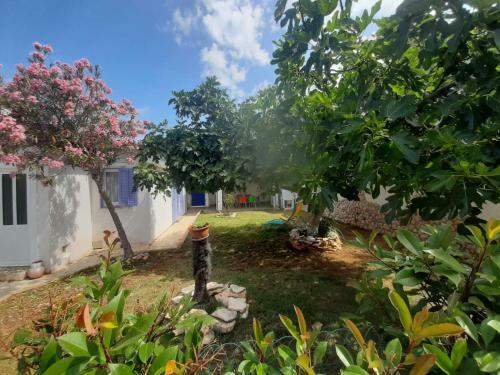 Vacation House Bimba - Pomer