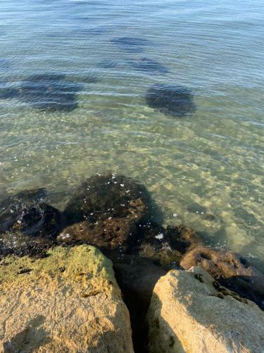 Villa Azzurra 150 Mt Spiaggia