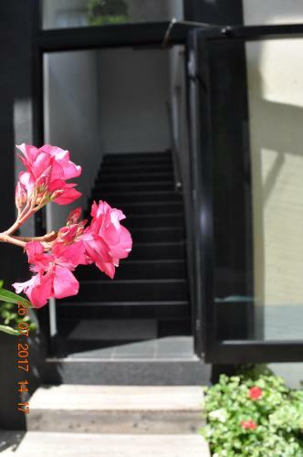 Apartamento Appartmenthaus Josefikeller