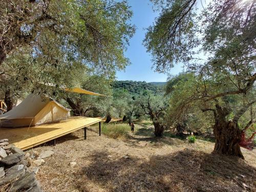 Anthea Ecolodge Milina