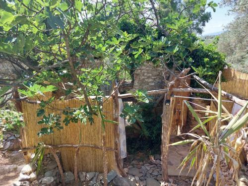 Anthea Ecolodge Milina