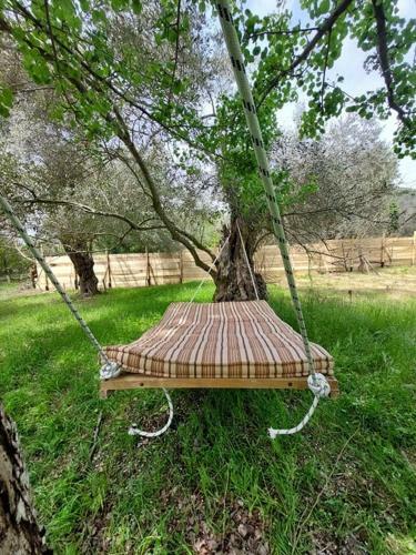 Anthea Ecolodge Milina