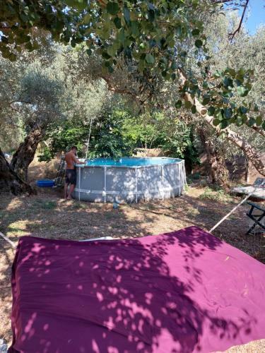 Anthea Ecolodge Milina