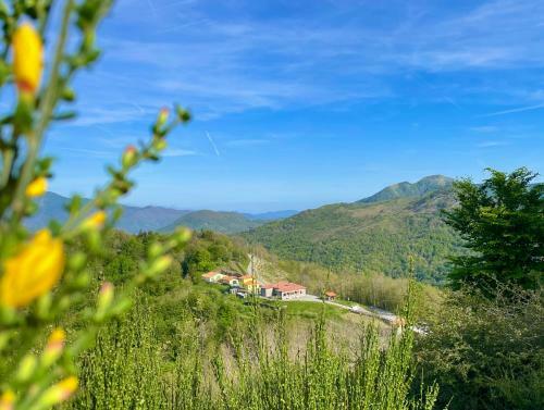 Colle Del Faggio Nature Home