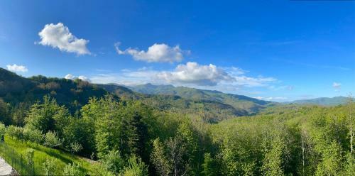 Colle Del Faggio Nature Home