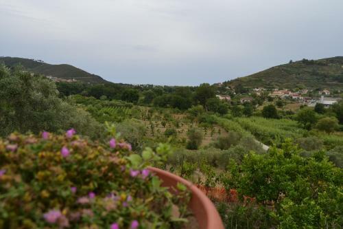 Bed & Breakfast Il Brillocco