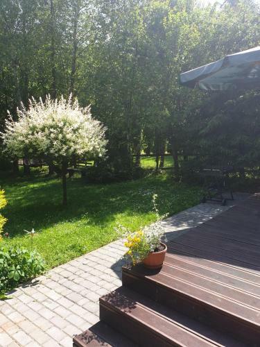 Lodge Domki Letniskowe Pod Lasem