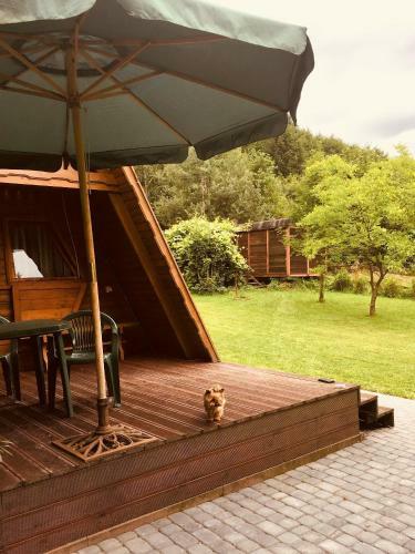 Lodge Domki Letniskowe Pod Lasem