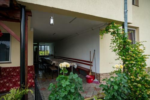 Hostal Pensiunea Elena