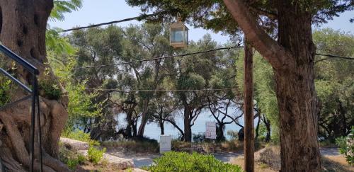 Apartamento Diogenis Parga Studios