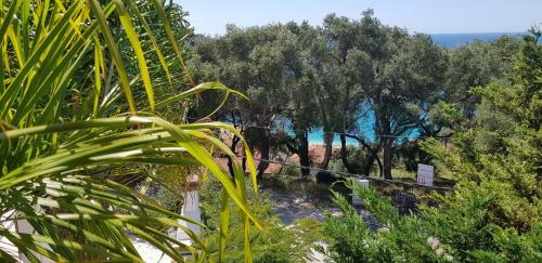 Apartamento Diogenis Parga Studios