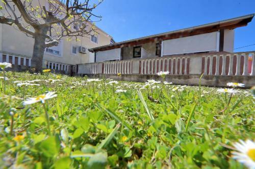 Apartments Ivana Bibinje Center