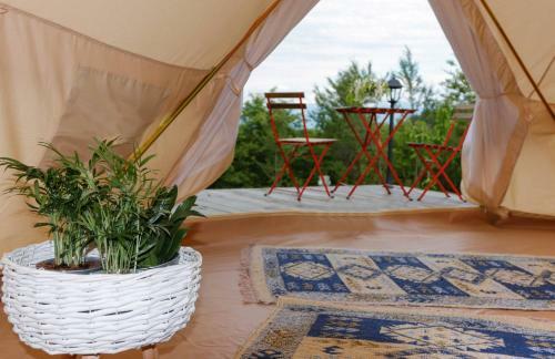 Glamping Cisnadioara
