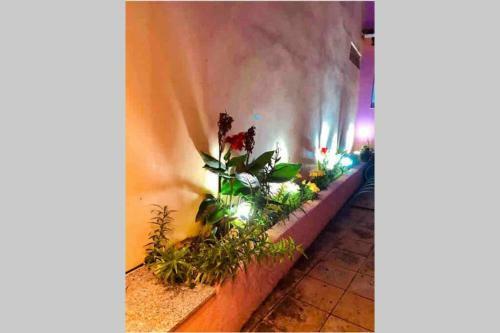 Ionian Stylish Apartment