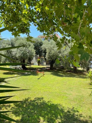Apartamento Villa Mary 2