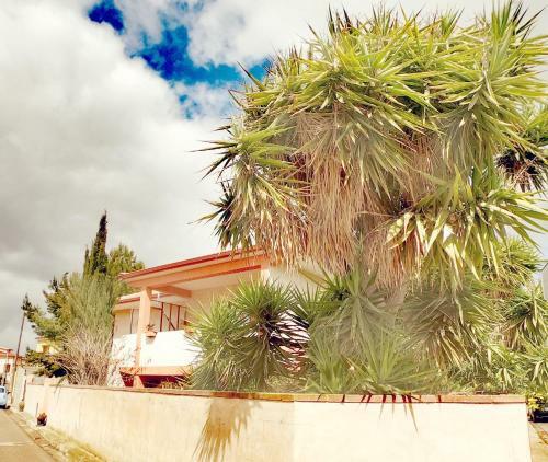 Bed & Breakfast Lune D'africa