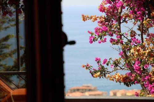 B&B Buenavista