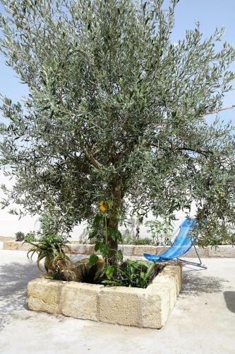 Casa Vacanze "le Gebbie"