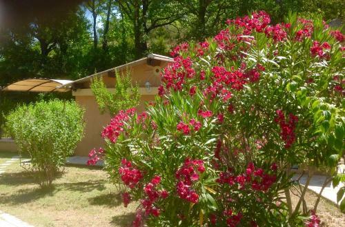 Maisonnette Dans Un Environnement Exceptionnel