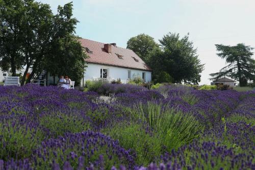 Agroturismo Lovenda Kujawska