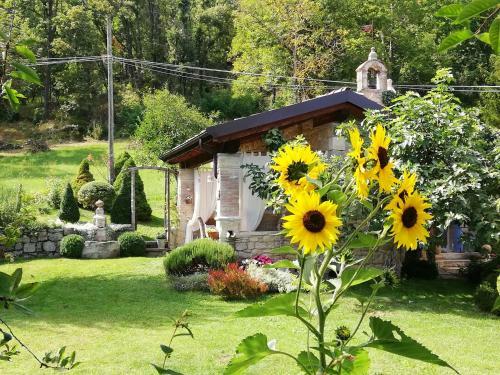 Agroturismo Natura E Arte