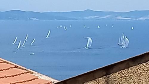 Apartamento Appartamento Del Sole