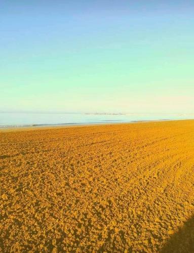 Apartamento Appartamento Vista Mare In Centro Movida