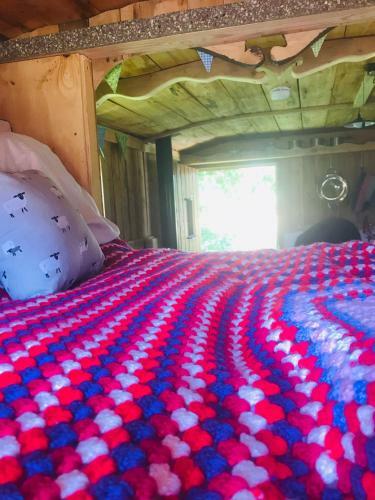 Glamping In Traditional Huts
