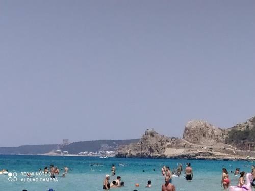 L' Ancora
