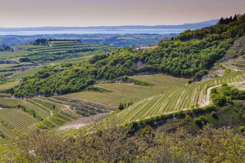 Bed & Breakfast La Grande Casa Valpolicella