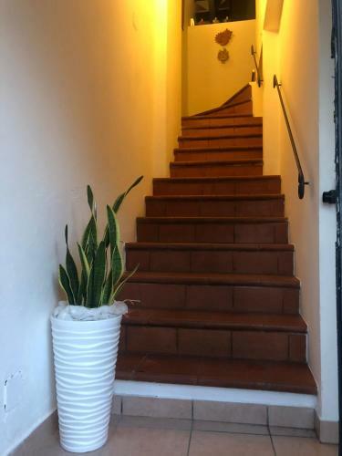 Apartamento Da Hele & Zozi
