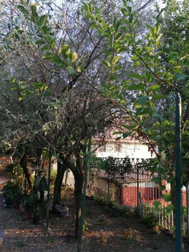 Apartamento Sweet Home In Tramonti
