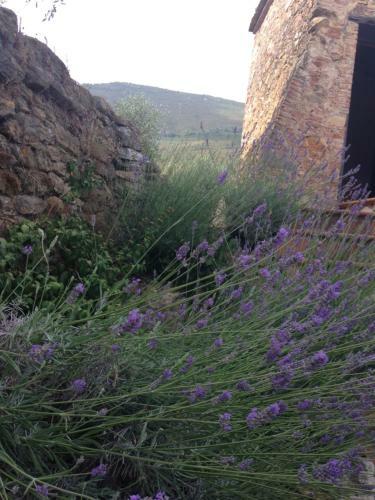 Campo Dei Lupi Agriturismo