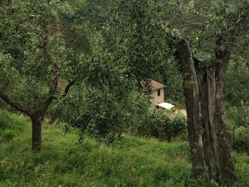 Campo Dei Lupi Agriturismo