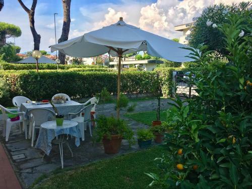 Apartamento Citt� Giardino