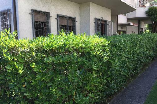 Apartamento Citt� Giardino